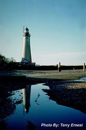 Photographic Scenes of the Area