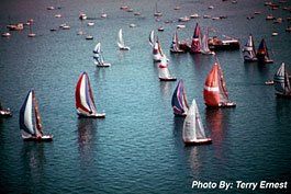 Photographic Scenes of the Area