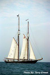 Photographic Scenes of the Area