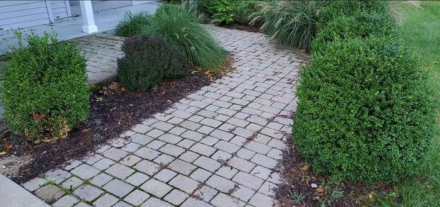 A brick walkway leading to a house with bushes on both sides.