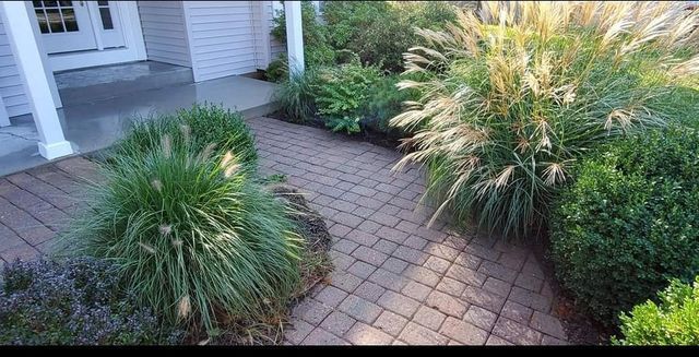 A brick walkway surrounded by plants and bushes in front of a house.
