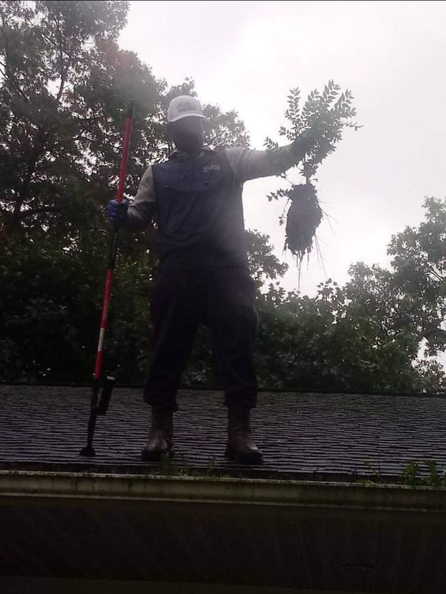 A man standing on top of a roof holding a plant