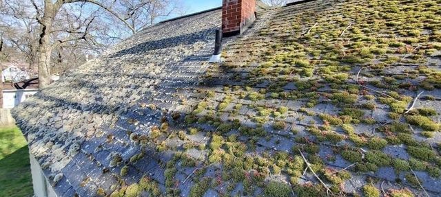 A roof with a lot of moss on it and a chimney.