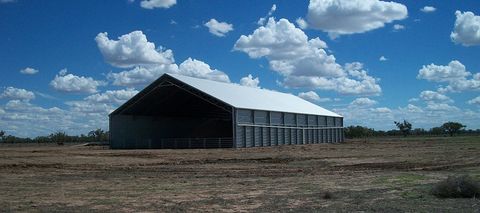 grain shed