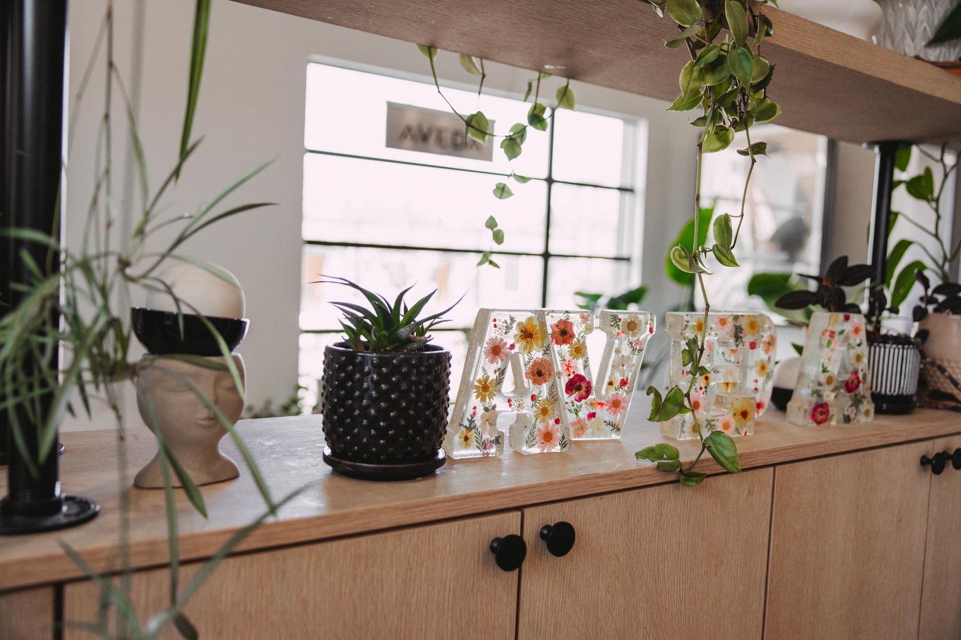 Wooden cabinet with various plants and decorative floral letters.  A window is in the background with hanging vines.