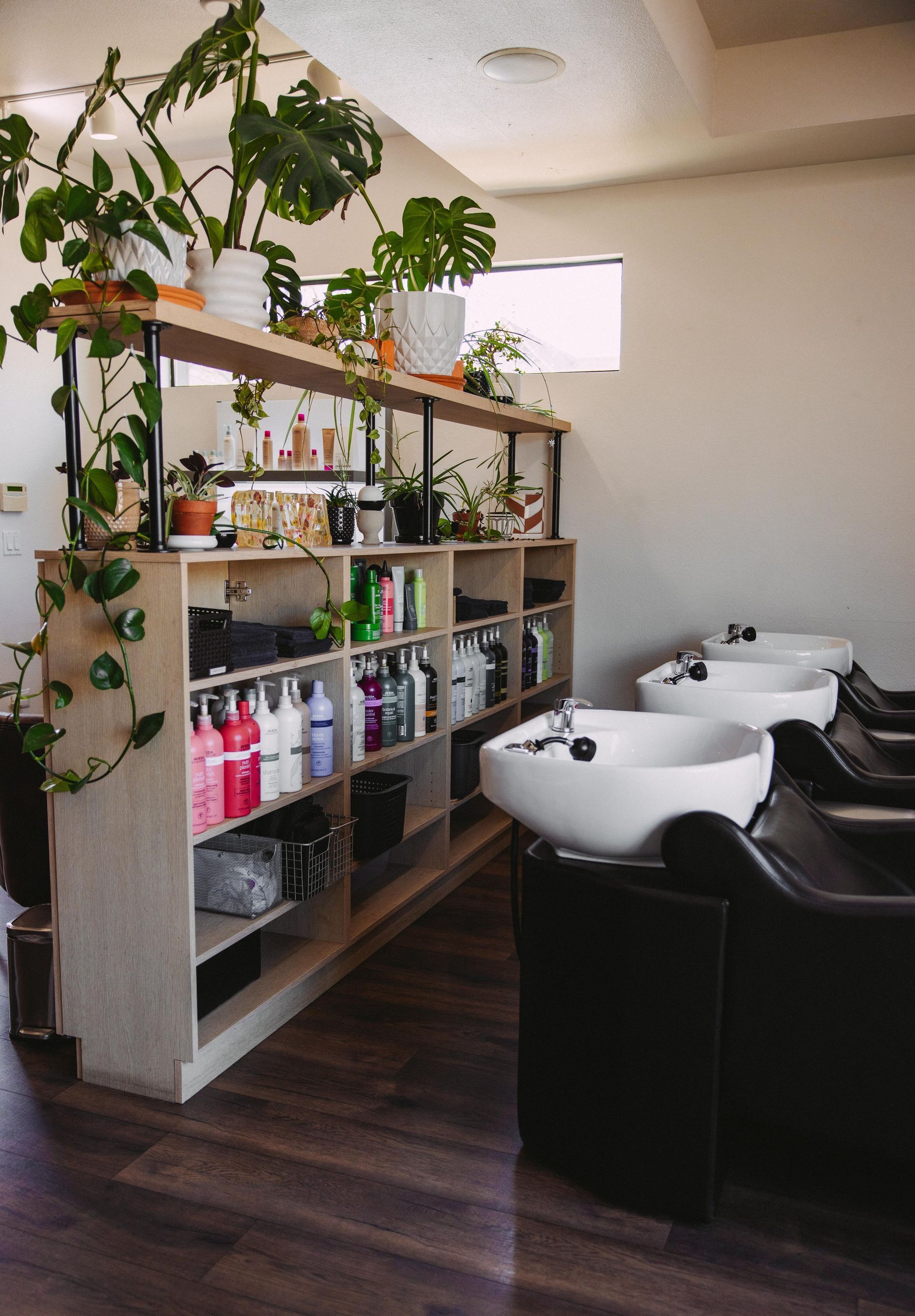 Hair salon interior with shelves holding products, a row of sinks, and plants.