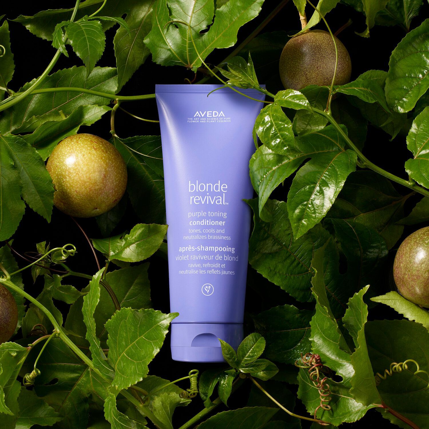 A tube of Aveda Blonde Revival conditioner surrounded by passion fruit and green leaves.