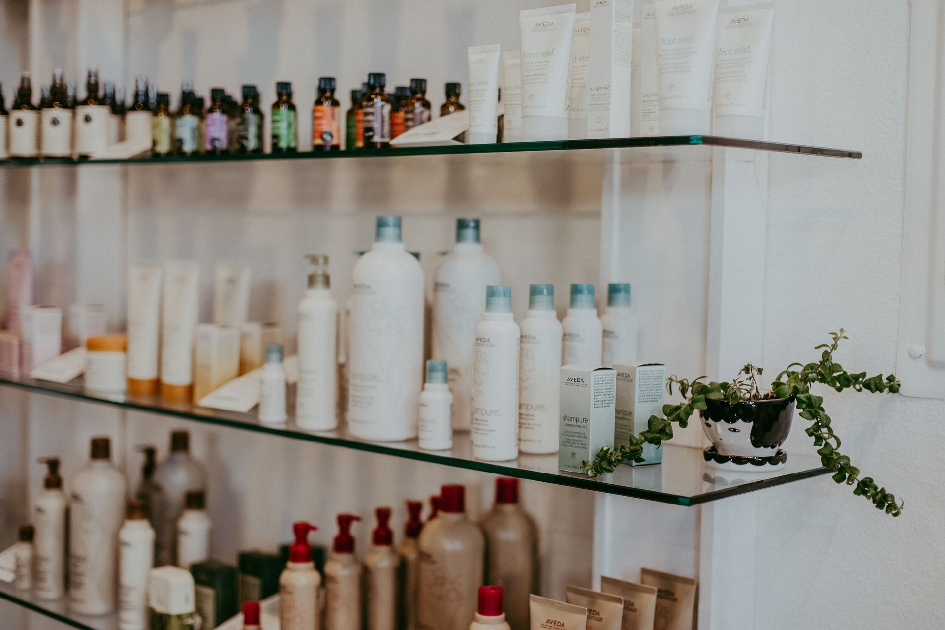Shelves displaying various haircare products, including bottles, tubes, and jars, in a salon setting. A small potted plant sits on a shelf.