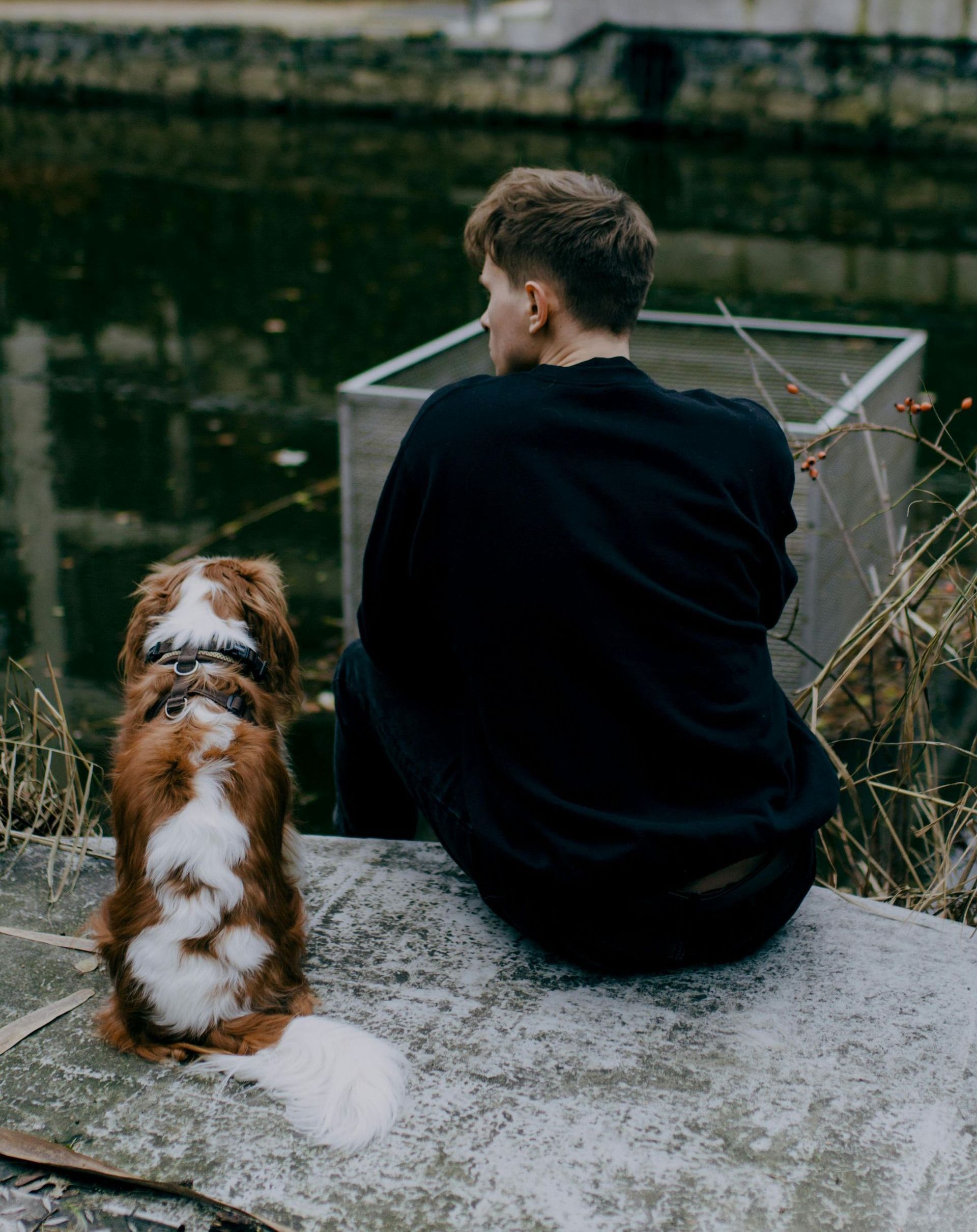 A man is sitting on a rock next to a dog.