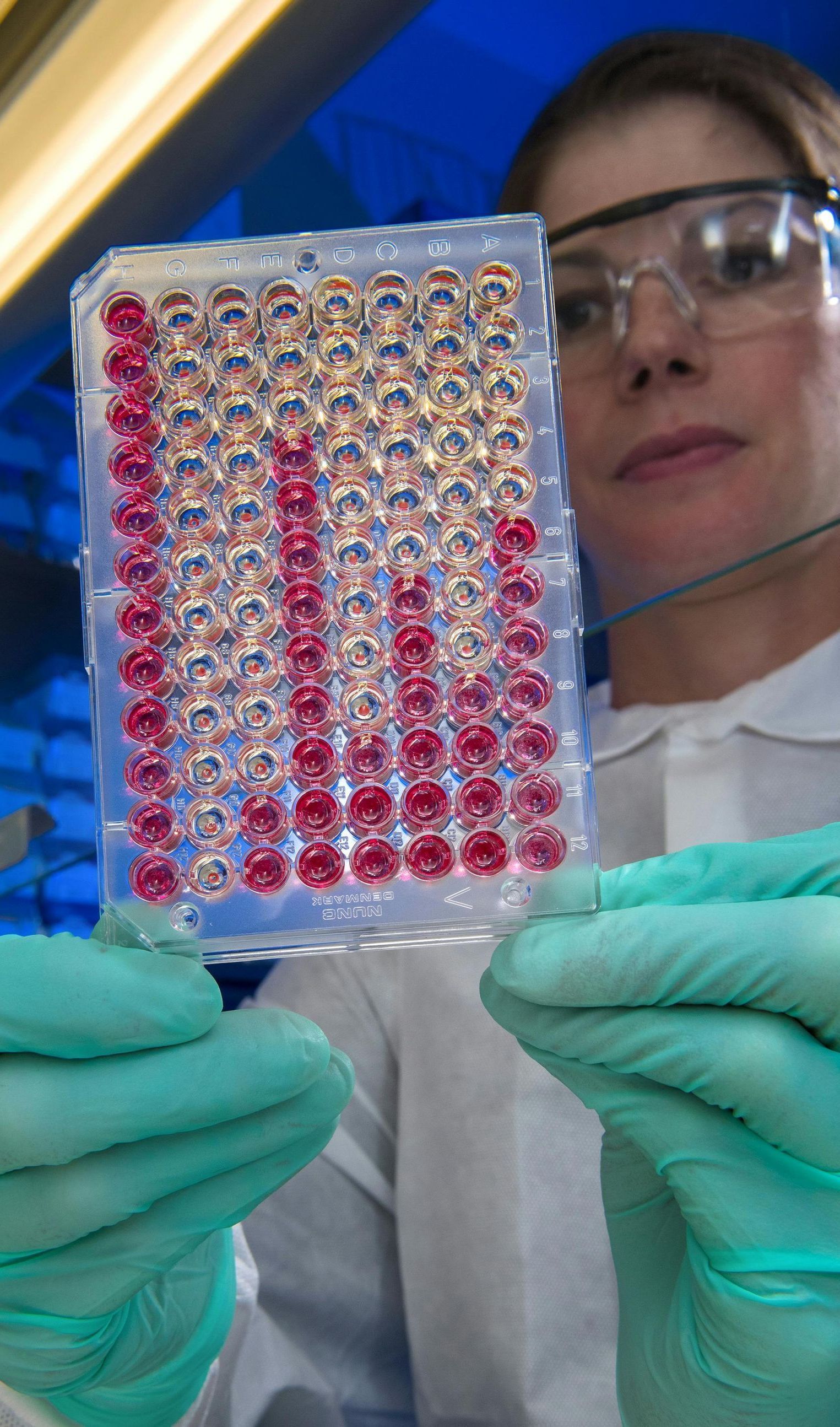 A woman wearing gloves and goggles is holding a plate with red dots on it.