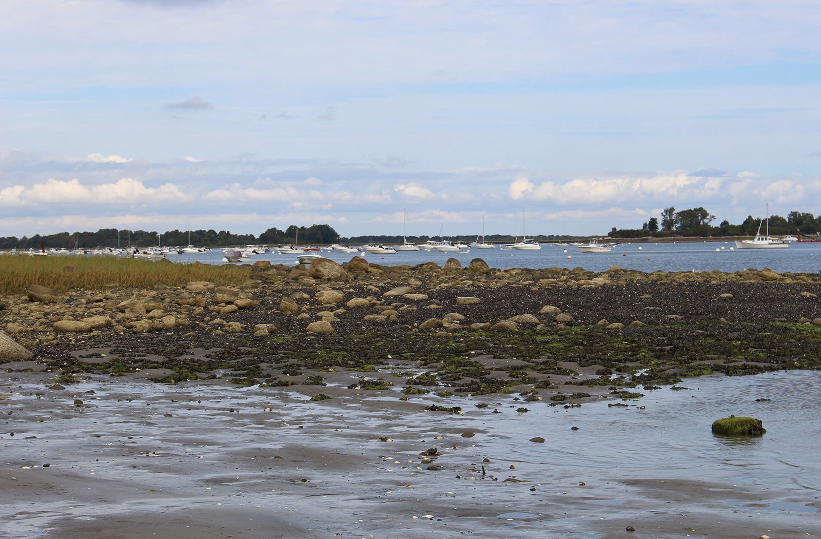 A large body of water with boats in the distance