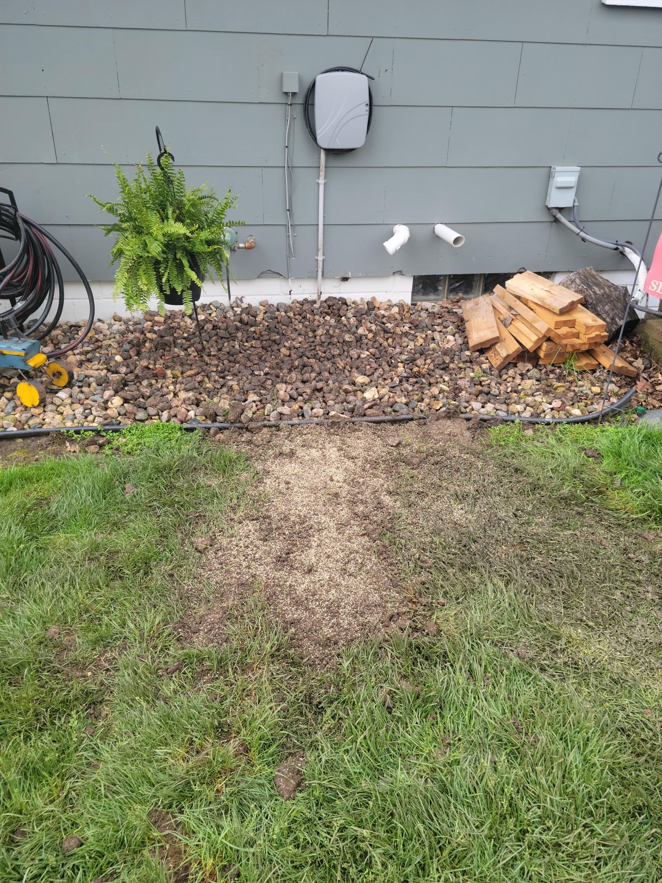 A backyard scene with a bed of mulch, a fern, and firewood next to a gray house.