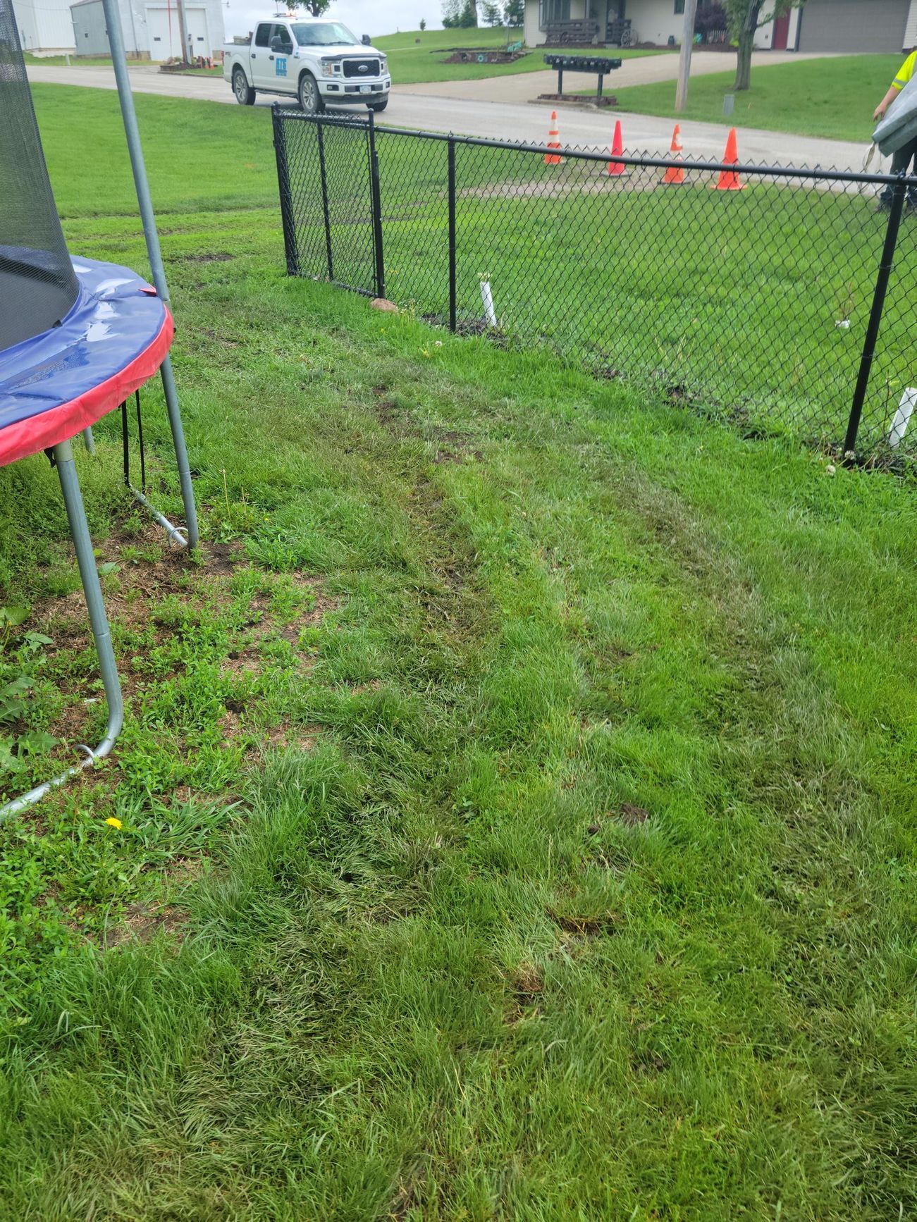 Green lawn with dark tire tracks, chain link fence, and a trampoline. A truck is parked in the background.