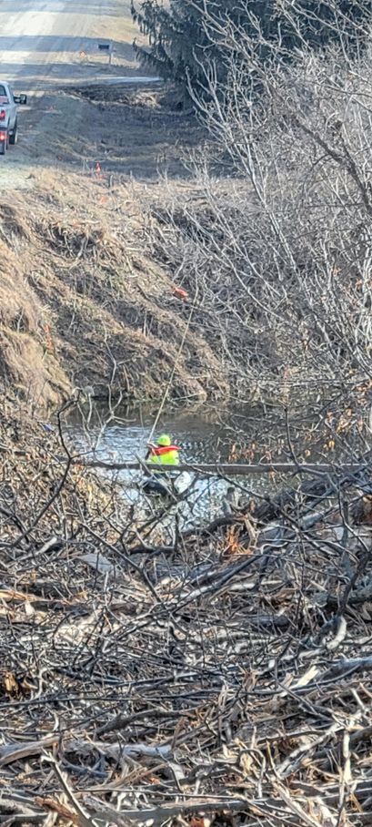 A person in a yellow safety vest in water surrounded by brush.