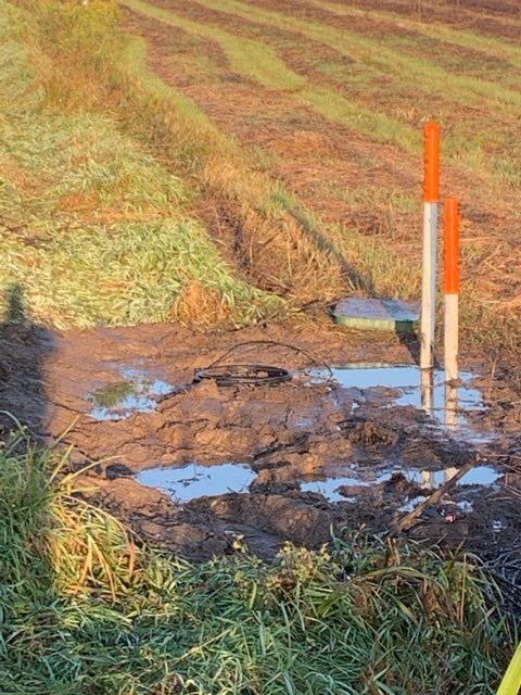 Muddy field with puddles, orange and white markers, and cut grass in a rural setting.