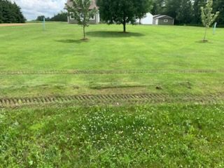 Lush green lawn with tire tracks, small trees, and a house in the background on a cloudy day.