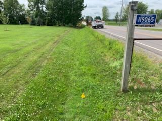Grassy roadside with a road sign, a yellow marker, and a vehicle in the background.