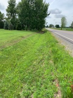 Grassy roadside next to a paved road. Trees and a cloudy sky in the background.