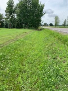 Grassy roadside ditch next to a paved road with trees and a cloudy sky.