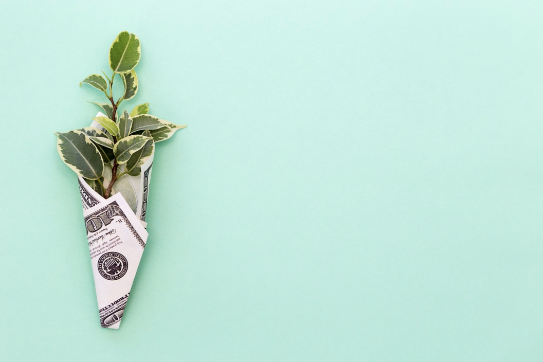 Plant sprouting from a paper cone made of a one-hundred-dollar bill, on a teal background.