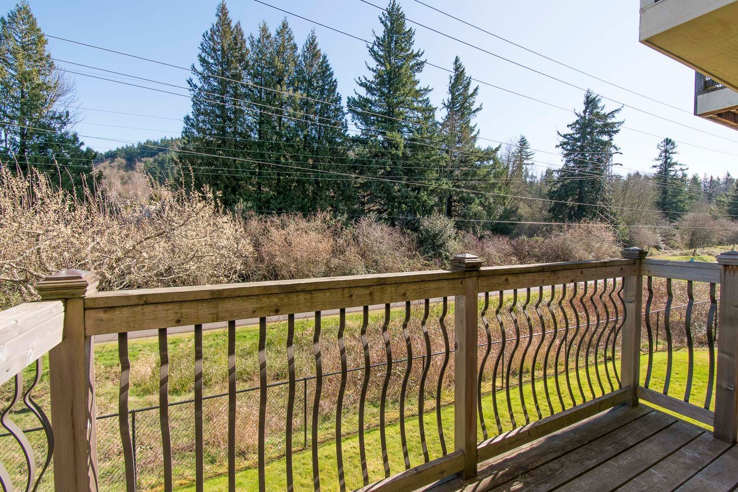 Springwater Corridor - Image 10