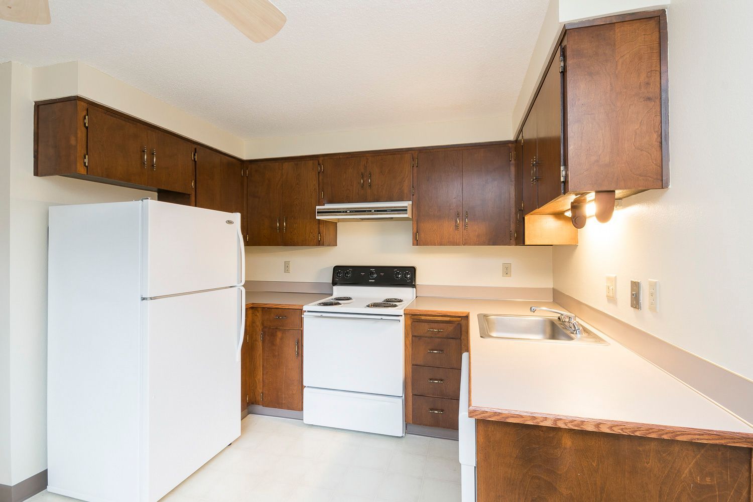 Shawn Oaks - Image 8