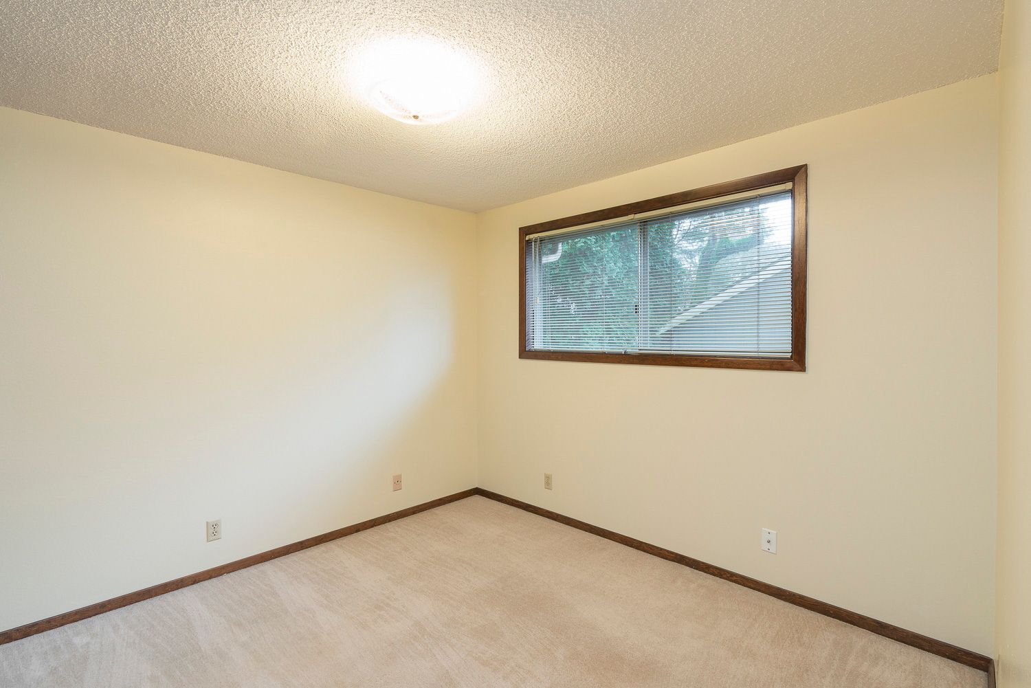 Shawn Oaks - Image 9