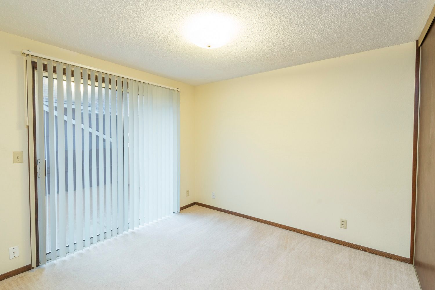 Shawn Oaks - Image 13