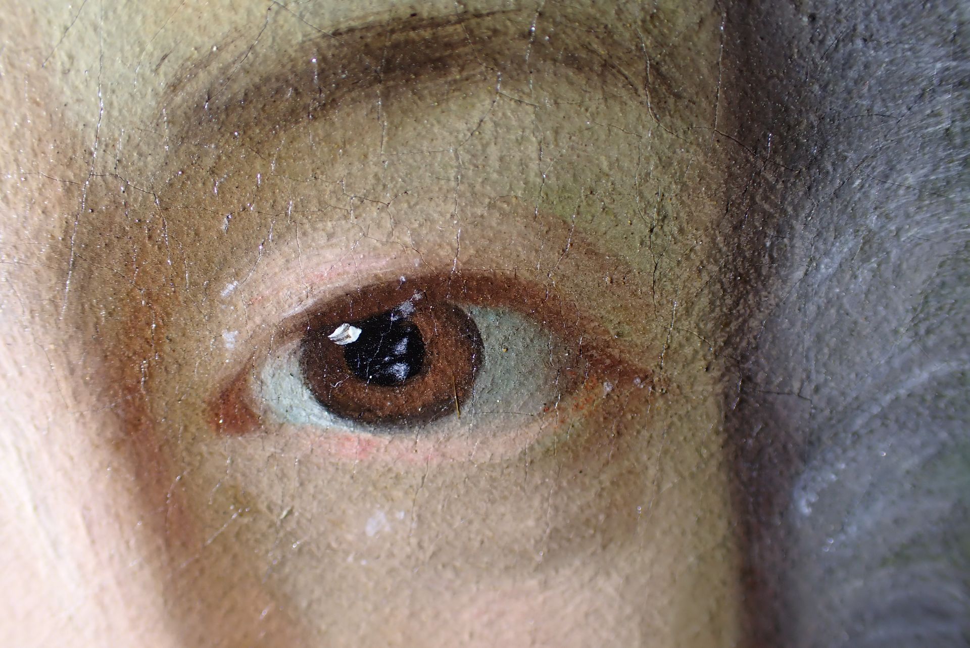 Entretien de collection