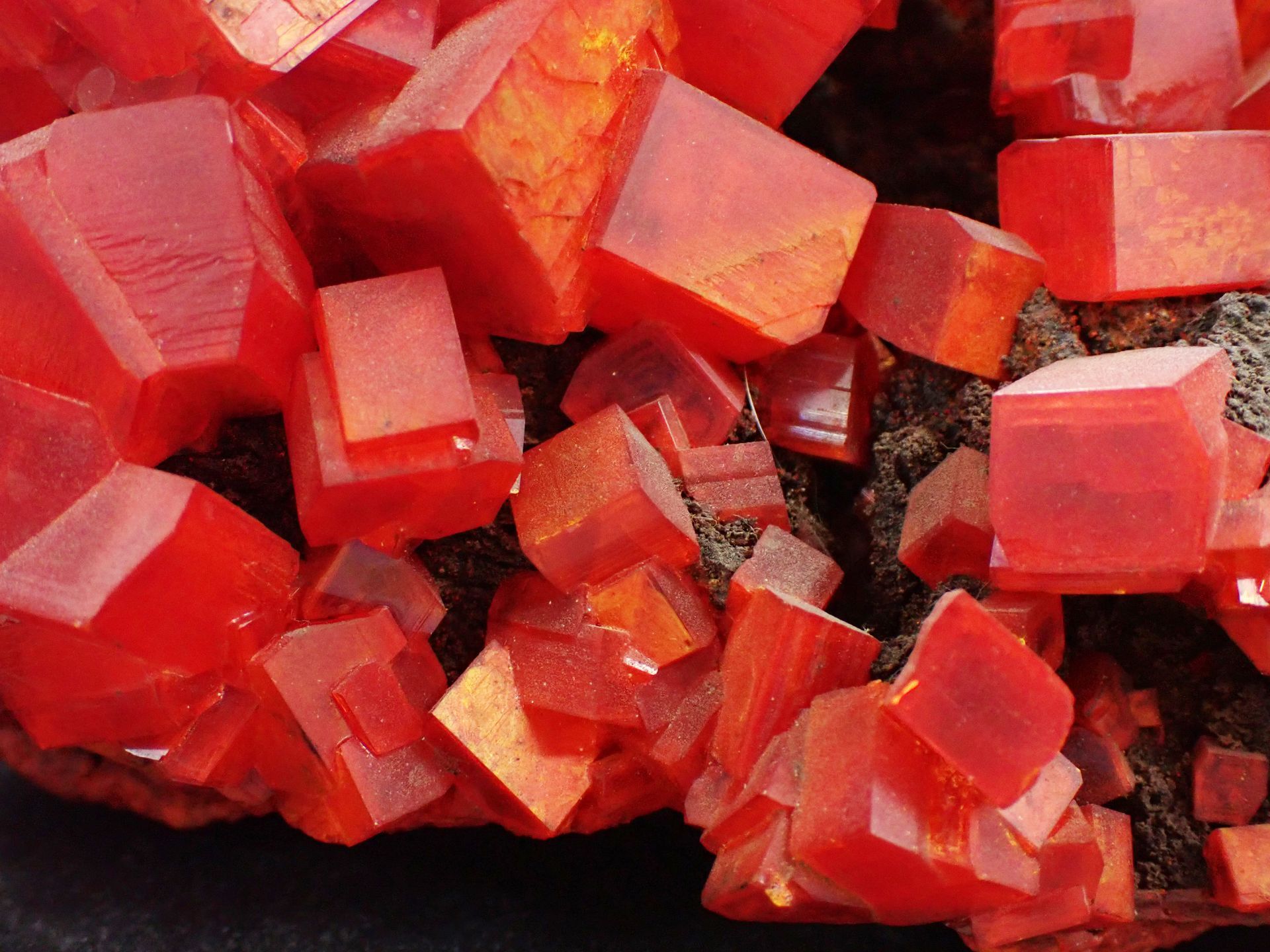 Investigation technique et expertise