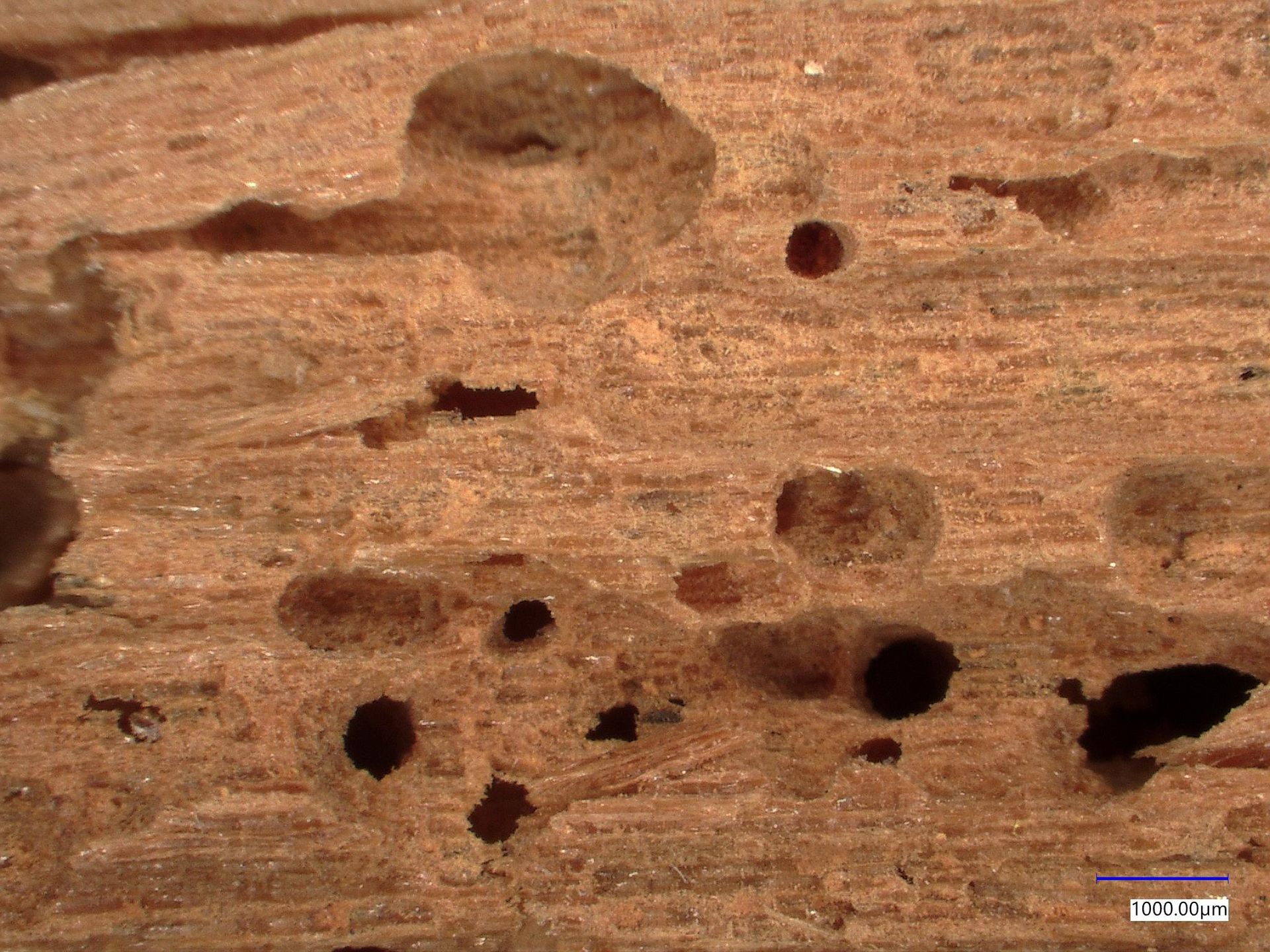 Stockage oeuvre d'art Genève