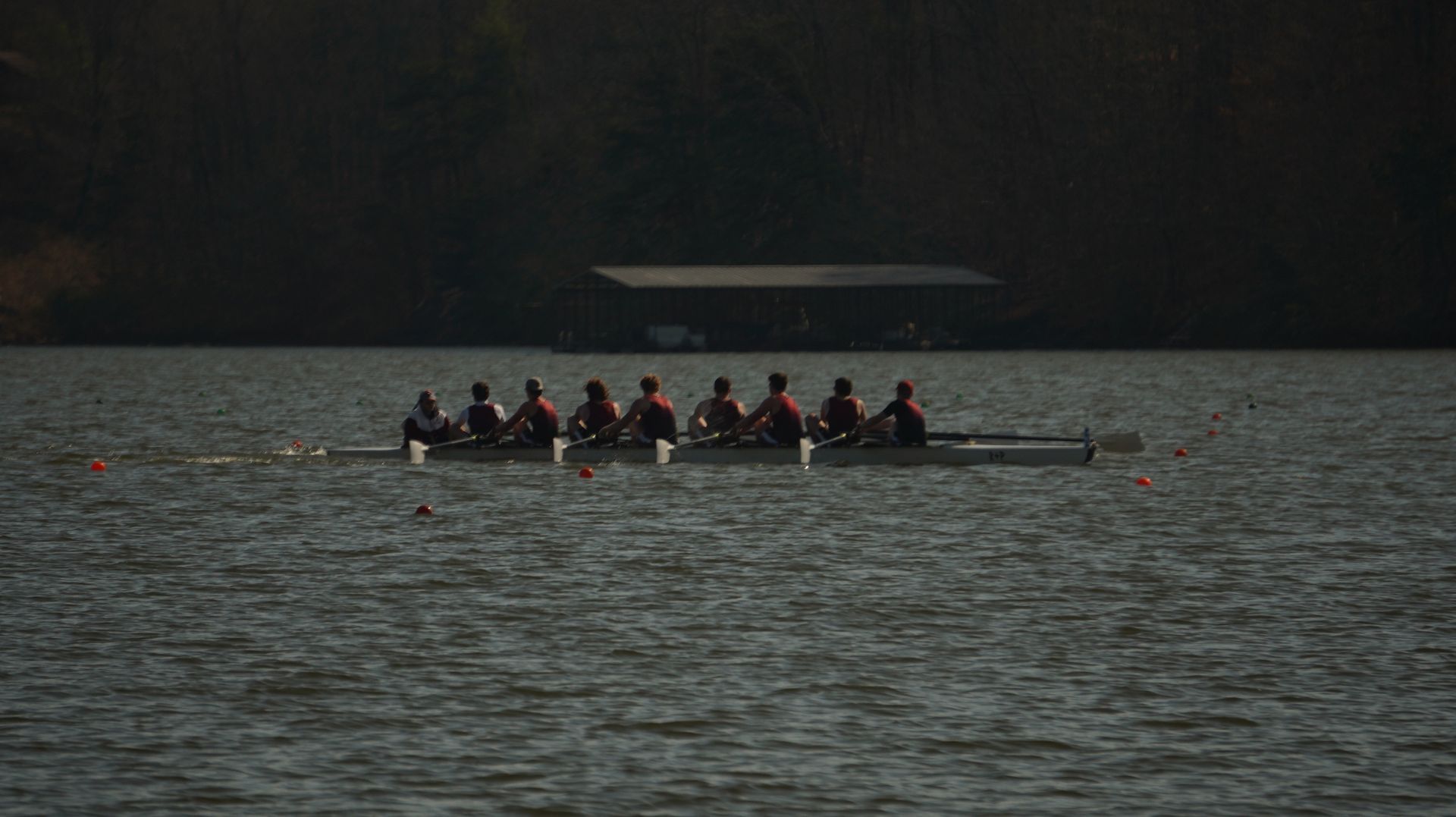 Rowing team on a lake. Eight rowers in a boat, silhouetted against dark water and a treeline.