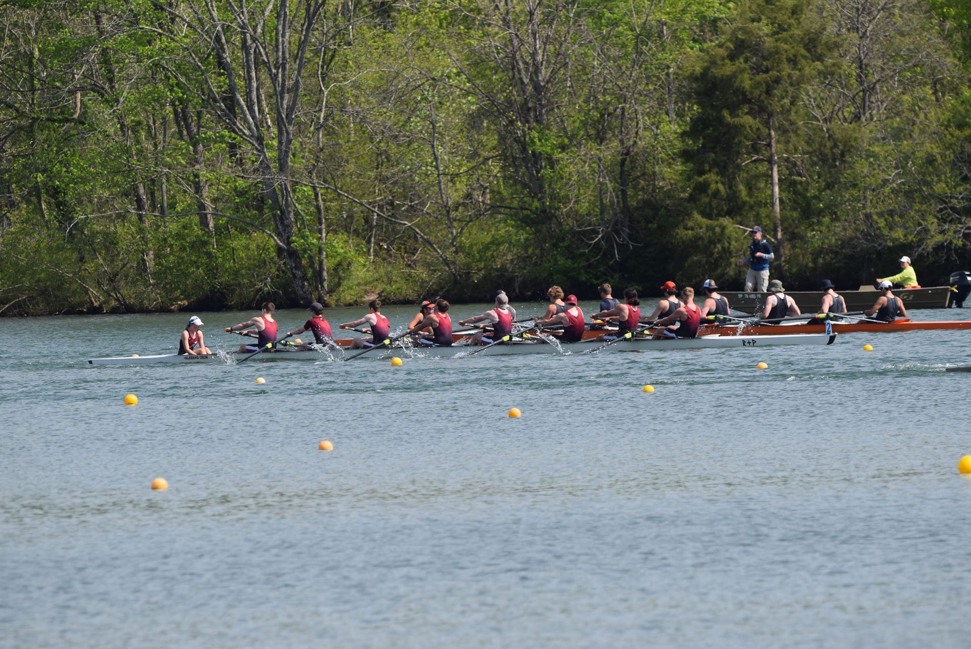 Rowing teams racing on a lake, seen from the shore. Several boats with rowers in unison, trees lining the water's edge.