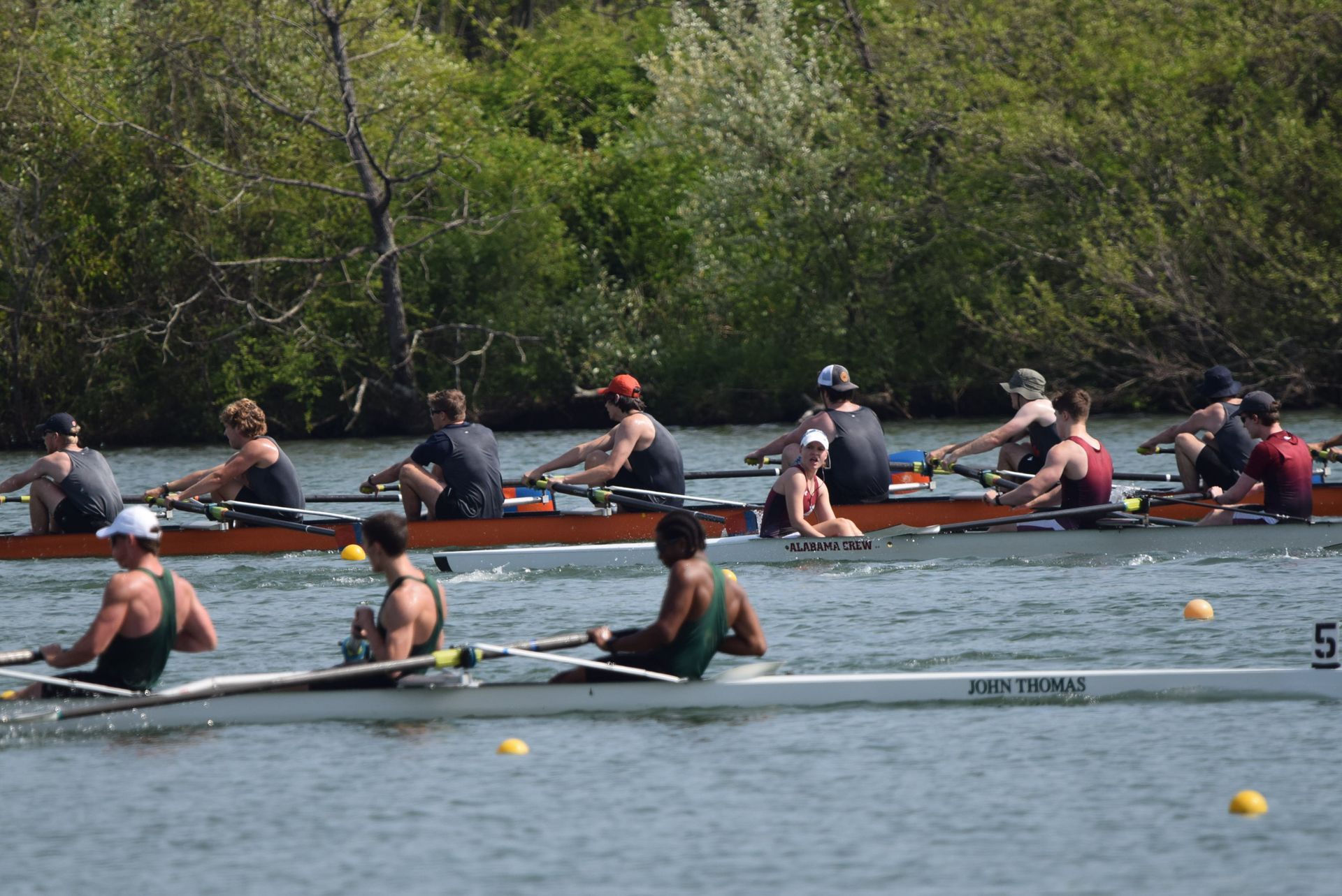 Rowing crews racing on a river, the boats are brown and white, with rowers in various colored tops, trees in the background.