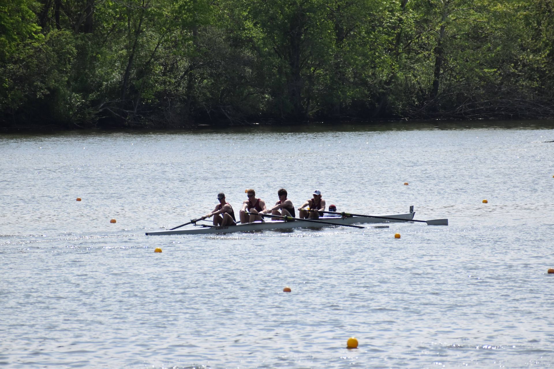 Four rowers in a long, narrow boat on a lake, pulling oars. Trees line the water's edge.