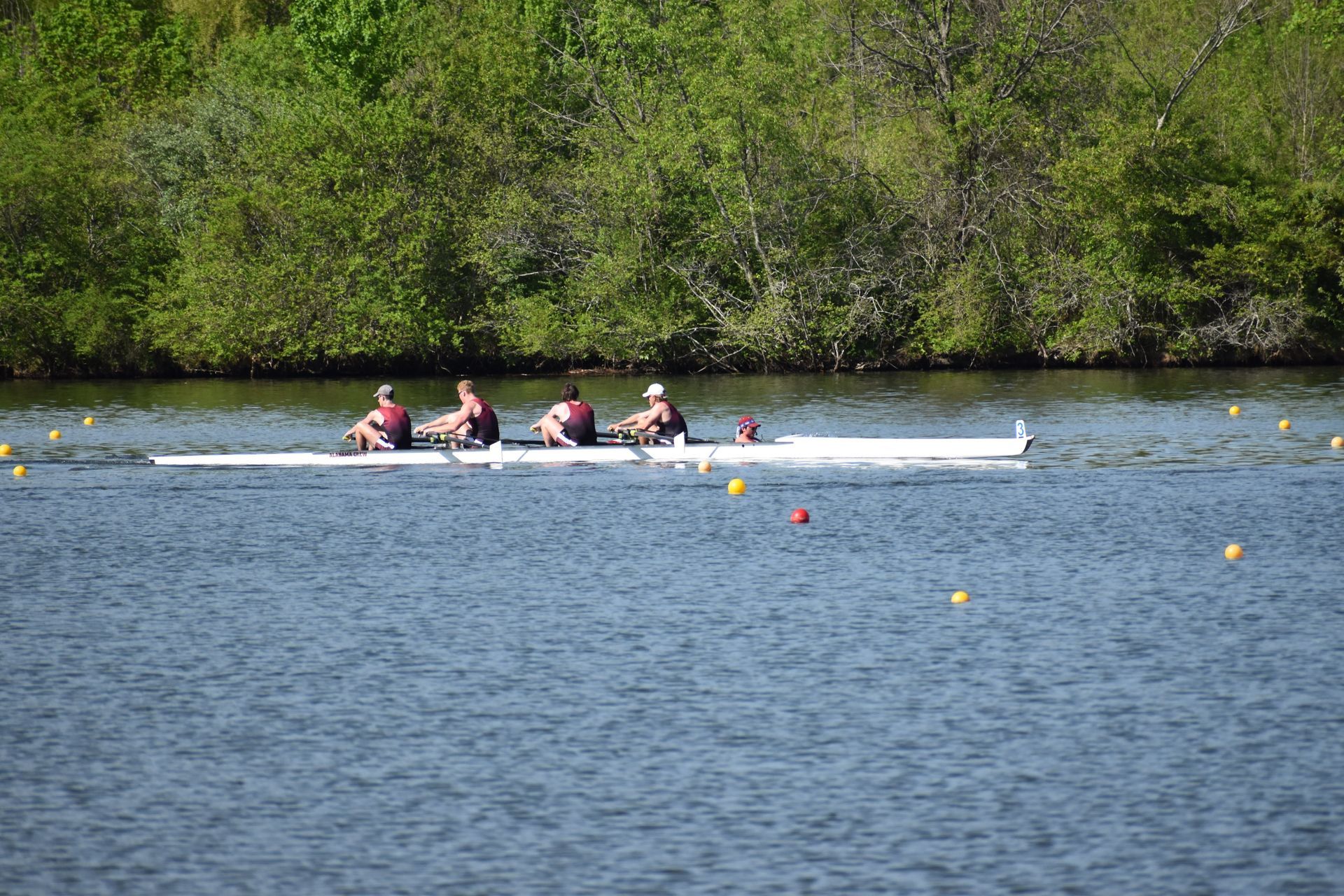 A crew team of four rowers in a long white boat on a river, with trees lining the shore.