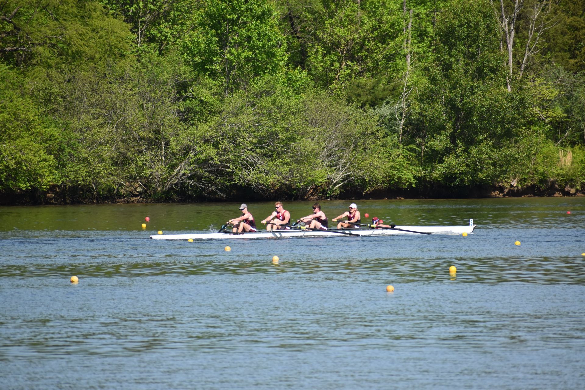 Rowing crew in a white boat on a lake, trees in the background. Four rowers with dark hair are facing backward.