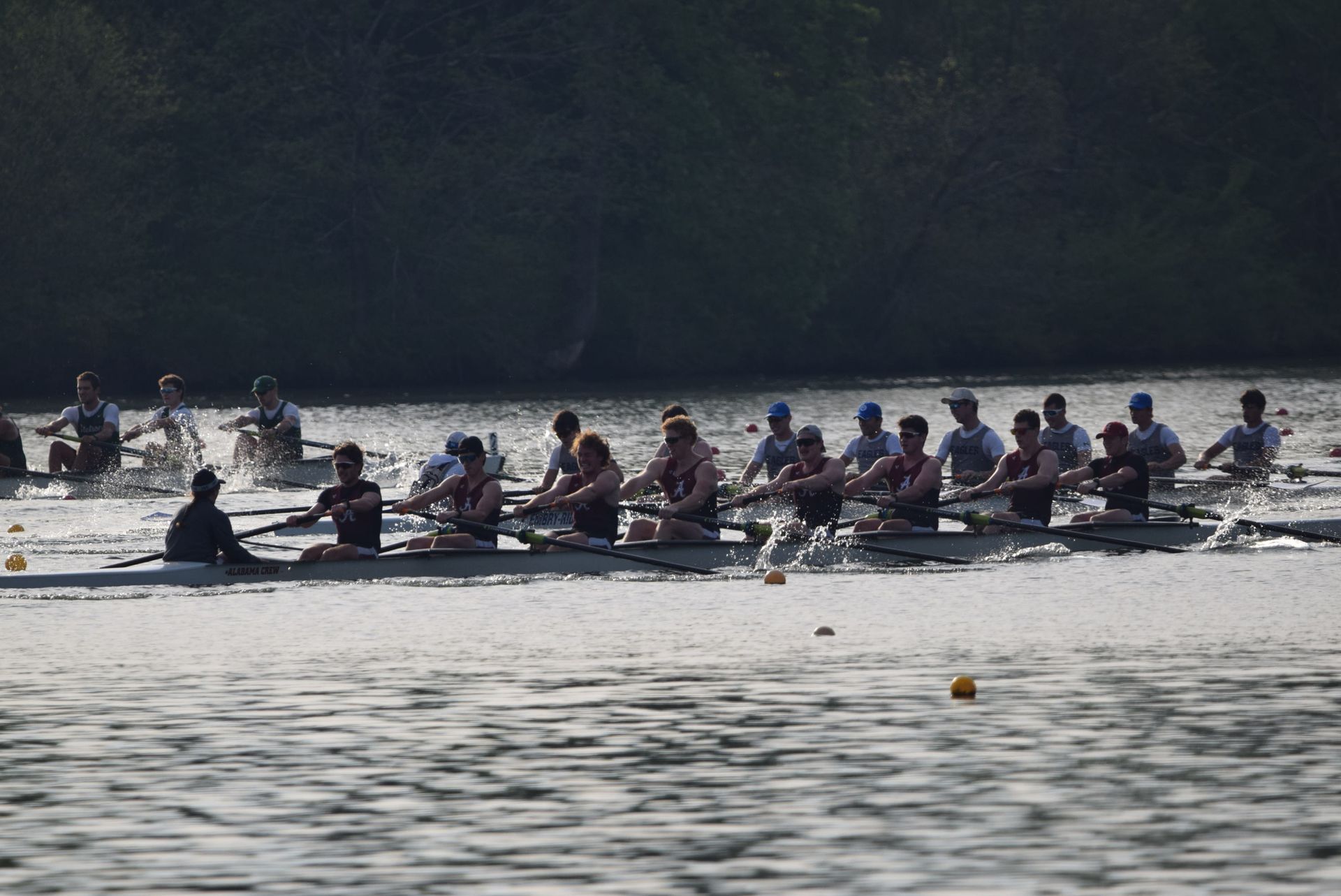Several rowing teams competing on a river. Crew members row in unison, splashing water. Trees line the shore.