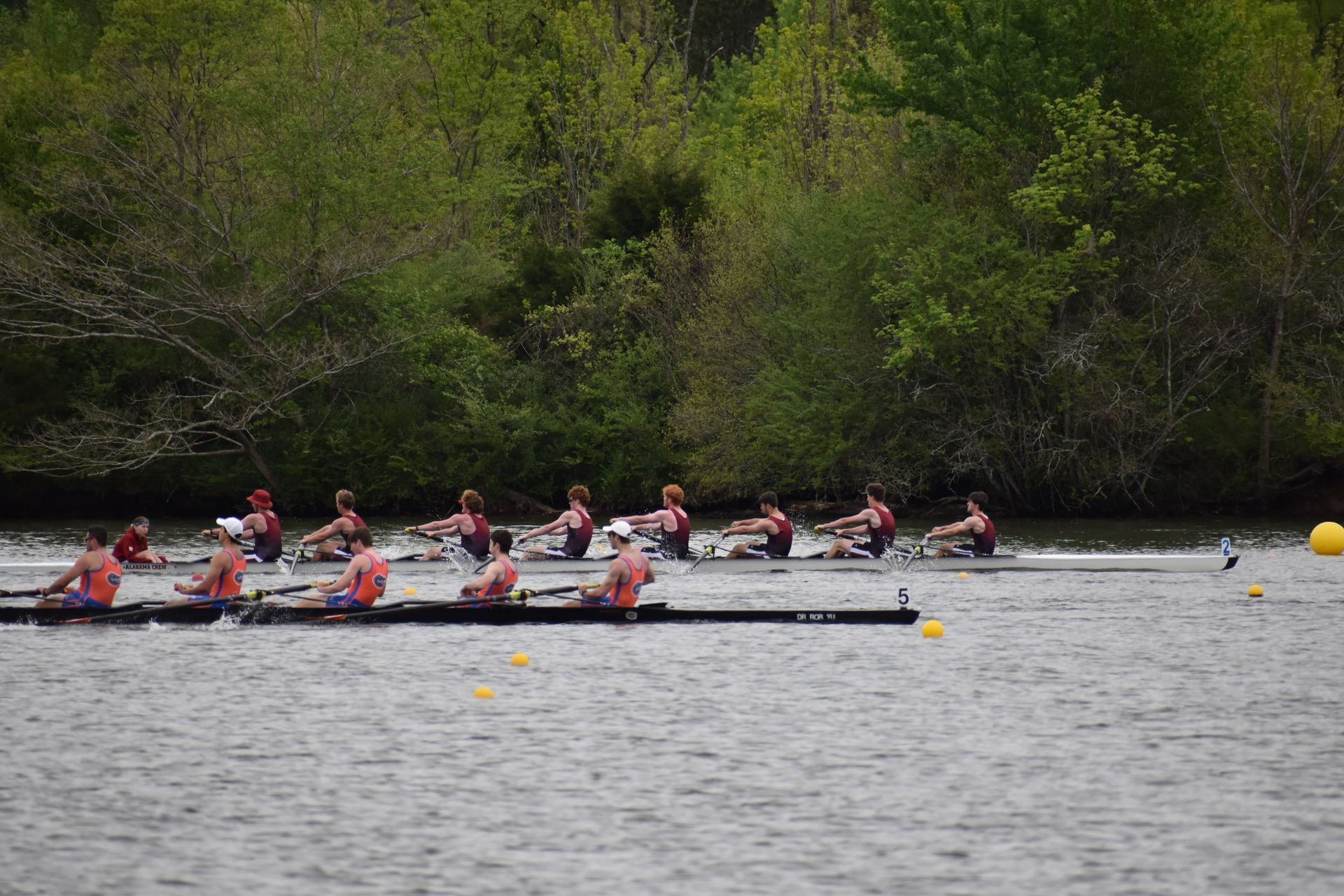 Rowing teams racing on a river; several boats with rowers wearing matching uniforms near a tree-lined shore.