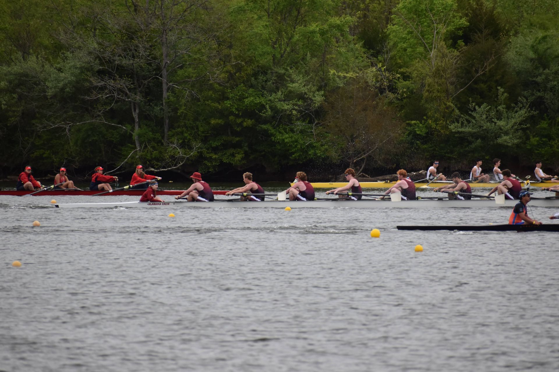 Several rowing teams on a river, each in narrow boats, racing. The teams wear different colored uniforms.