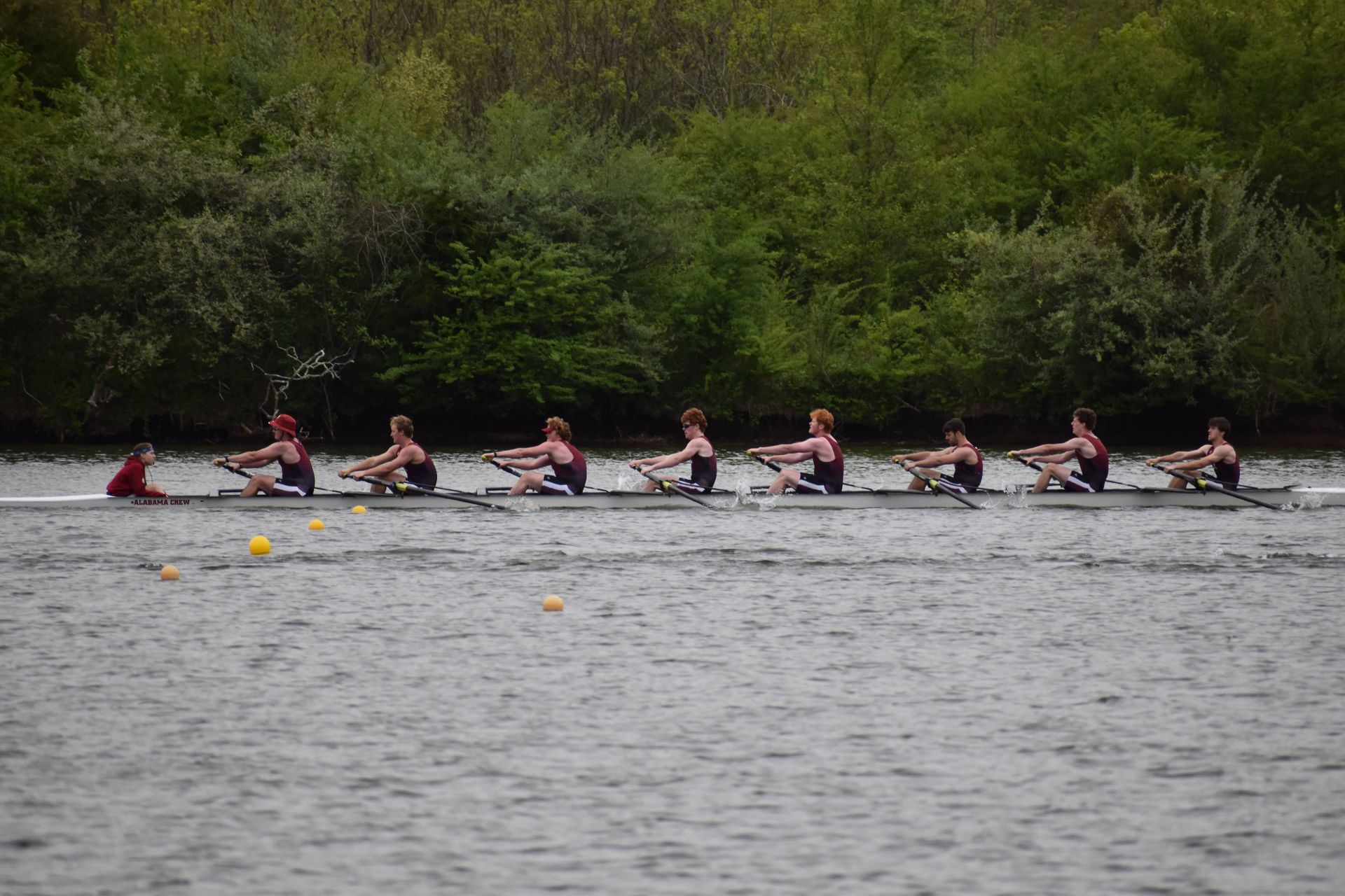 A rowing team in a long boat on a river, with eight rowers and a coxswain, set against a backdrop of green trees.
