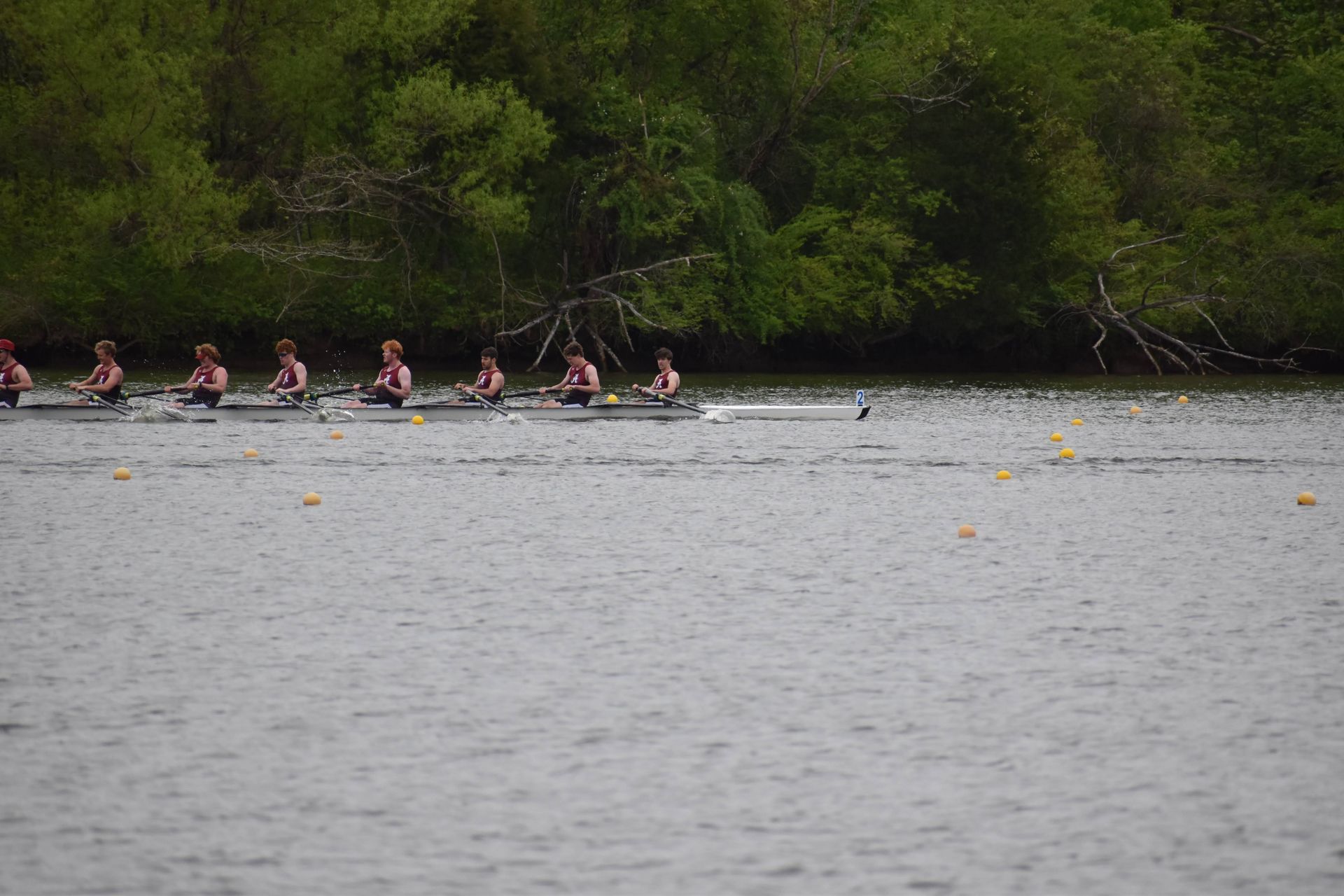 Rowing crew on a river, gliding towards the right. Dark water, green trees line the bank.