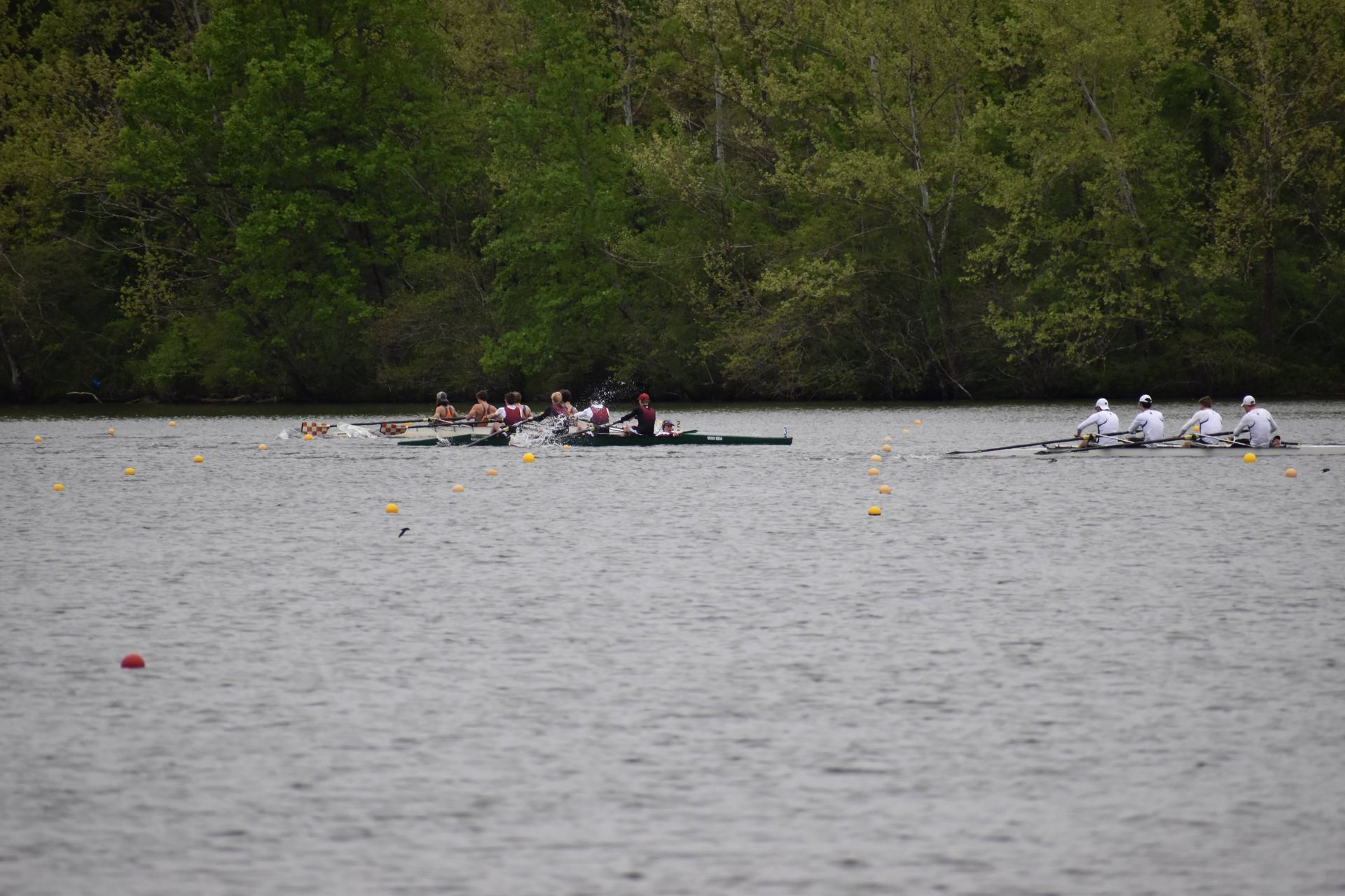 Rowing race on a lake with multiple boats. Several crews compete, visible near a treeline.