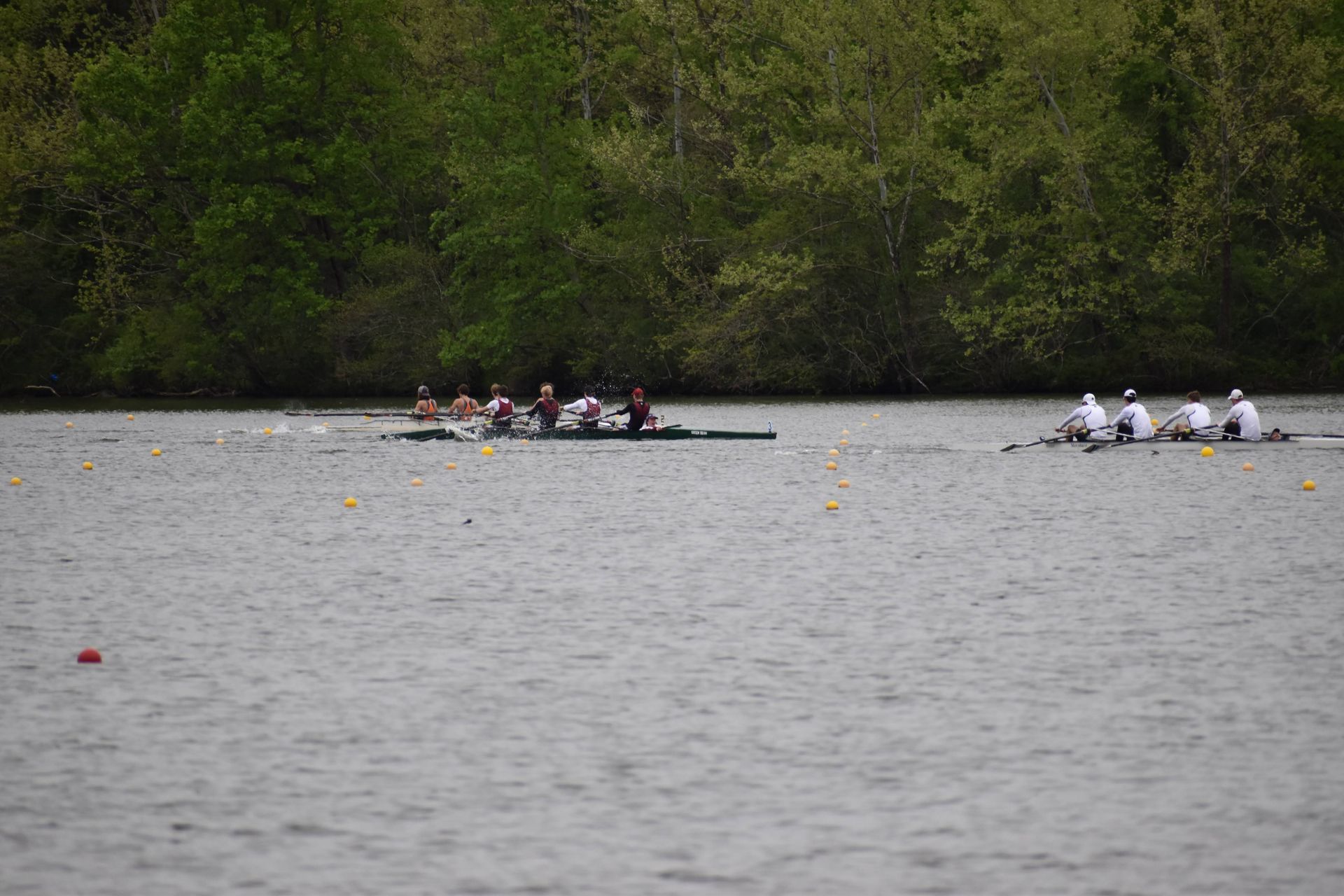Rowing teams in boats on a lake, competing. Trees line the distant shore. One boat is brown, another white.