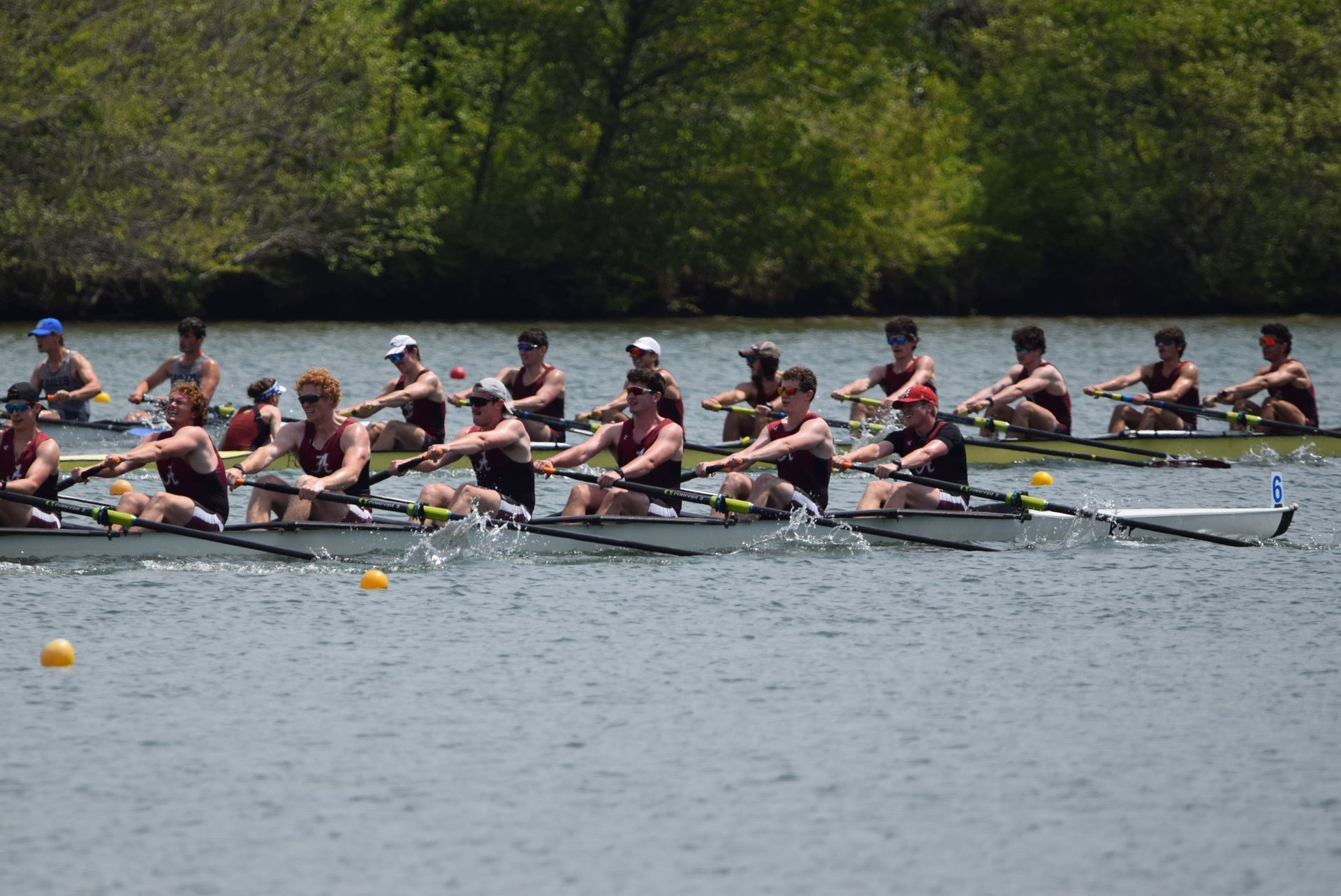 Several crew teams rowing on a lake. Dark-clothed rowers are synchronized, trees in the background.