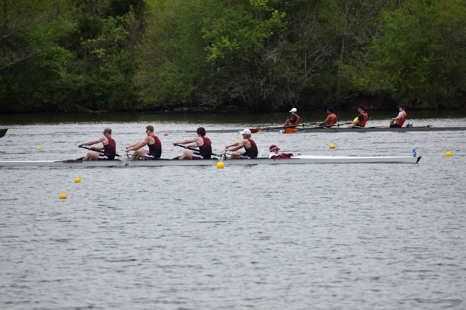 Rowing teams in maroon and red compete on a lake, trees line the background.