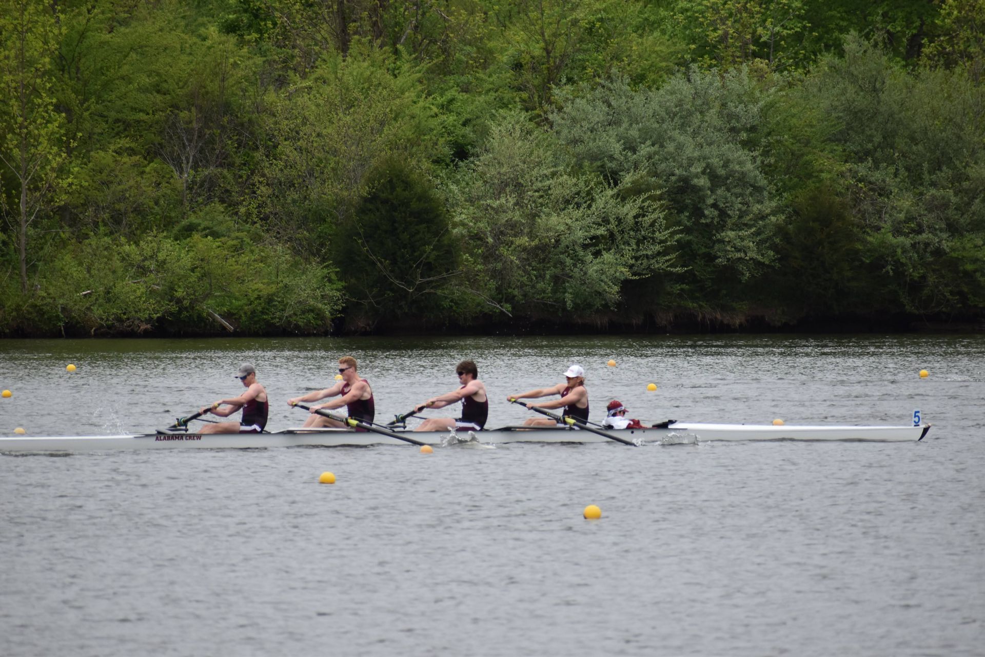 Rowing team on a lake, with four rowers in a boat, pulling oars. Lush green trees line the shore.