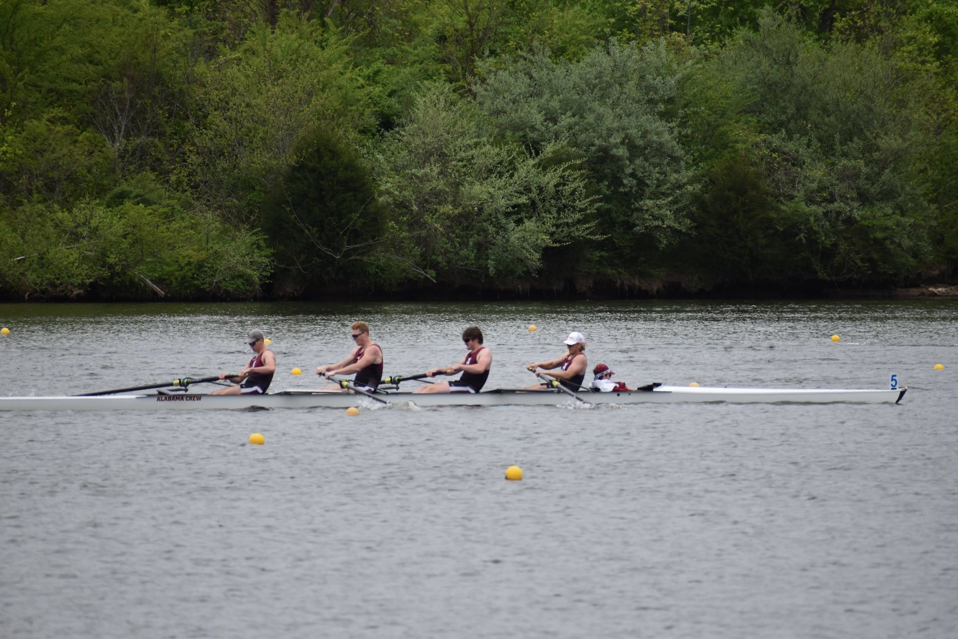 Four rowers in a boat on a lake, each rowing with oars. Lush green trees line the background.