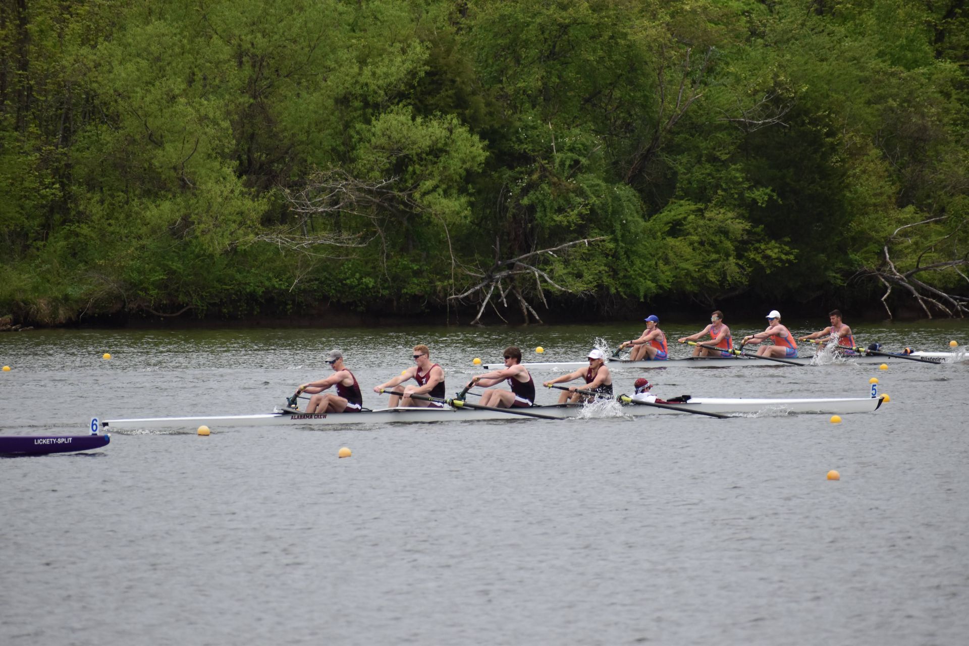 Rowing race on a river with two teams of rowers. The boats are long and narrow, with rowers in dark and light clothing.