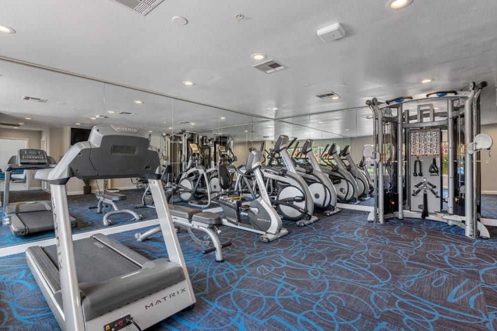 Brightly lit gym with modern fitness equipment including treadmills, elliptical trainers, and a multi-gym station. The room has blue patterned carpet, mirrored walls, and recessed ceiling lights at Alante at the Islands in Chandler, AZ.